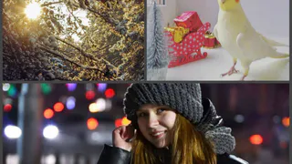 Инстаграм рязанцев: прекрасное утро, Ричкин Птичкин и вечернее фото