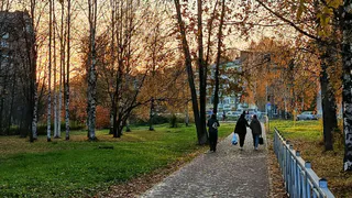 1 ноября в Чувашии будет серо, сыро и иногда дождливо