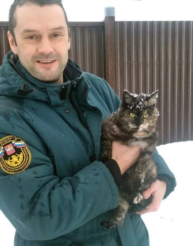 В Челябинской области спасли кота, примёрзшего к фонарному столбу