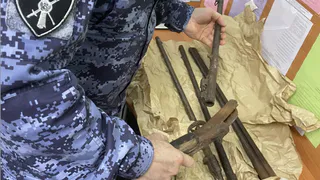 Житель Коми пошел за грибами и обнаружил оружейный ствол