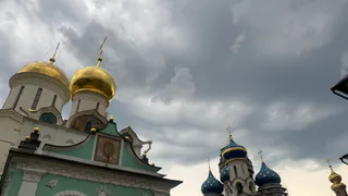 Всегда сажаю это на Пасху: так делала бабушка в деревне - старинная традиция, о которой все забыли