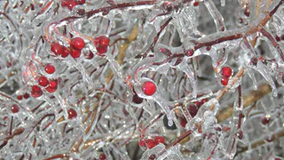 Заморозки и снегопад: какой погоды ожидать рязанцам на выходных