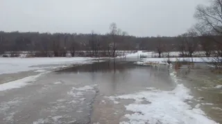 В Сапожковском районе затопило три моста