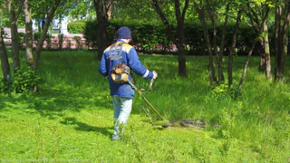 Депутаты Рязанской думы намерены привлечь трудных подростков к работам по благоустройству