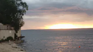 В Чебоксарское водохранилище выпустили свыше 10 тысяч молоди стерляди