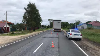 В Шиловском районе водитель на Scaniа сбил 12-летнюю девочку 