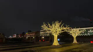 Жителей Рязанской области просят не запускать фейерверки