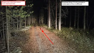 В Коми водитель не удержал мопед на лесной дороге и опрокинулся