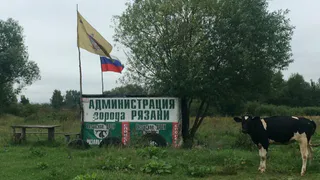 Instagram рязанцев: в руках у Есенина, администрация города, веселый пес