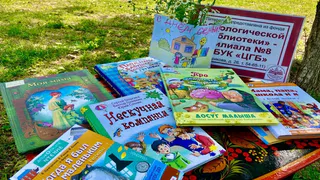 Во Владимире открылся читальный зал под открытым небом «Книжное лето»