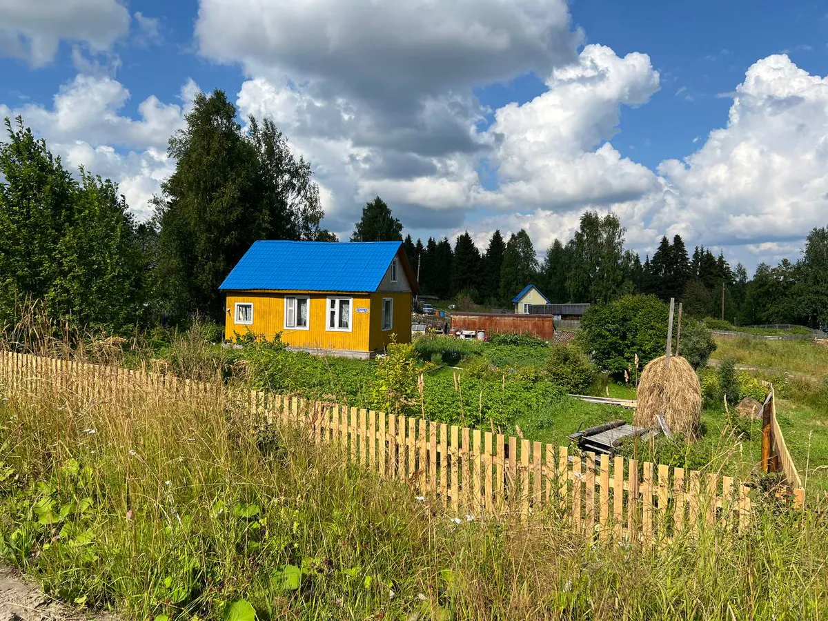 Что на самом деле запрещено в СНТ с 1 сентября: разбираемся с юристами