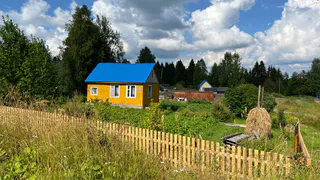 Что на самом деле запрещено в СНТ с 1 сентября: разбираемся с юристами