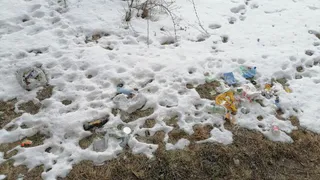 В городе Дятьково Брянской области неизвестные кидают мусор из окна дома