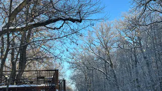 13 февраля в Рязанской области ожидается гололедица и до -12