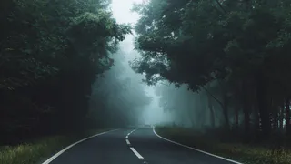 В Рязанской области ожидаются туманы