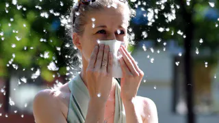 Как спастись от аллергии: медики дали рекомендации по защите от тополиного пуха