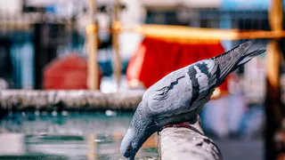 О погоде в Рязани -  выходные будут жаркими