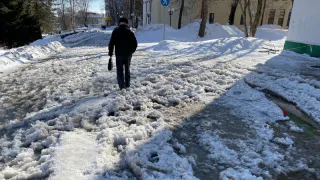 "Мы ждали снег, а пришло это": синоптики Челябинской области резко изменили прогноз погоды на 19 ноября