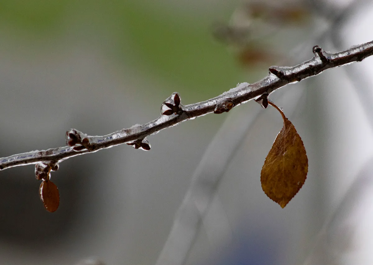 Погода в понедельник, 24 ноября
