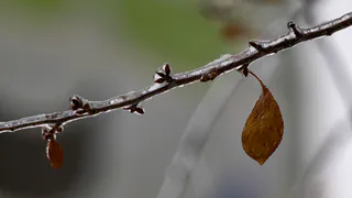Погода в понедельник, 24 ноября