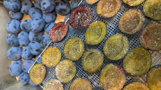 Больше не отдаю сливу соседям и друзьям ведрами: делаю тягучее и ароматное варенье на зиму – простецкий рецепт