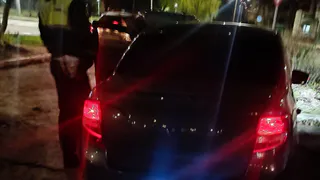 В Рязани водителя поймали на детской площадке у «Серой Шейки»