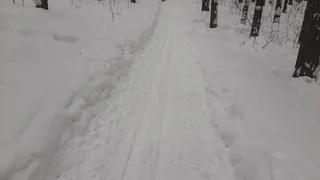 Похолодание до -14° С, порывистый ветер до 15 м/с