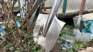 В конце мая всегда закапываю тряпку на огороде — странный, но рабочий метод от французских фермеров