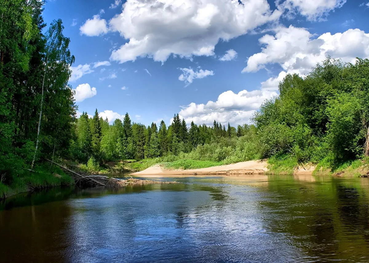 Озеленение берегов Волги