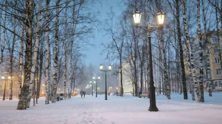 «Зимой начнется то, чего не было с 1772 года». Метеорологи дали тревожный прогноз