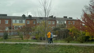 Забудьте про «удобную» жену: тест на любовь от Хайяма, который работает спустя 1000 лет
