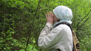 Вы не знали, но боялись спросить. Что делать, если вы заблудились в лесу