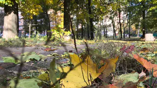 Достаем теплые куртки: в выходные в Рязань придут холода