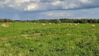 В Приполярье Коми готовятся к зиме: фермеры запасают рекордное количество кормов