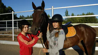 Истории настоящей дружбы