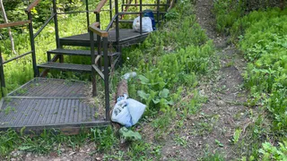 В Пензе экопарк использовали как шашлычную