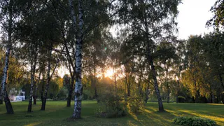 Сегодня +32: жара из Рязани никуда не уходит