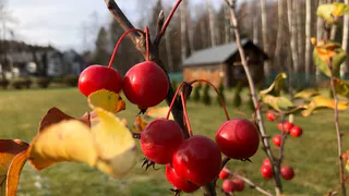 Синоптики обещают аномальную жару на следующей неделе