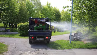 Мэрия Рязани отчиталась об обработке парков и скверов от шелкопряда и клещей