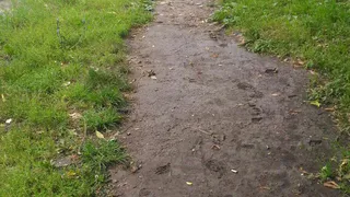 "Устали ходить по грязи" - жители Ленинского Комсомола просят нормальную пешеходную дорожку