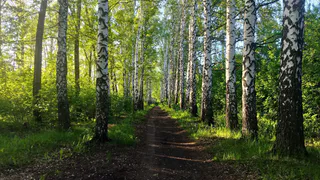 В Рязани снова установлен особый противопожарный режим