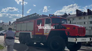 В Кузнецком районе пожар чуть не лишил жизни пожилого дачника