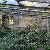 Россельхознадзор обследовал рязанские теплицы на 15,5 га земли