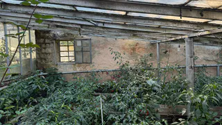 Россельхознадзор обследовал рязанские теплицы на 15,5 га земли