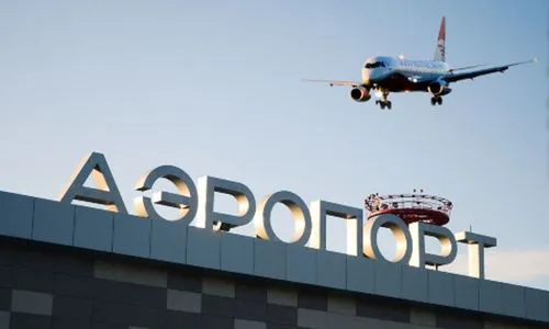В Нижнекамском аэропорту лось помешал посадке самолета