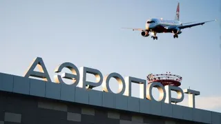 В Нижнекамском аэропорту лось помешал посадке самолета