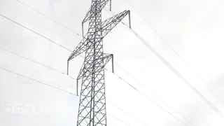 В Коми без света остались 18 сел и деревень из-за упавшего на линию электропередач дерева