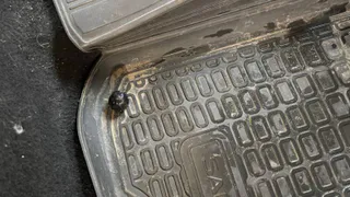 Двое жителей области предстанут перед судом за хранение запрещенных веществ