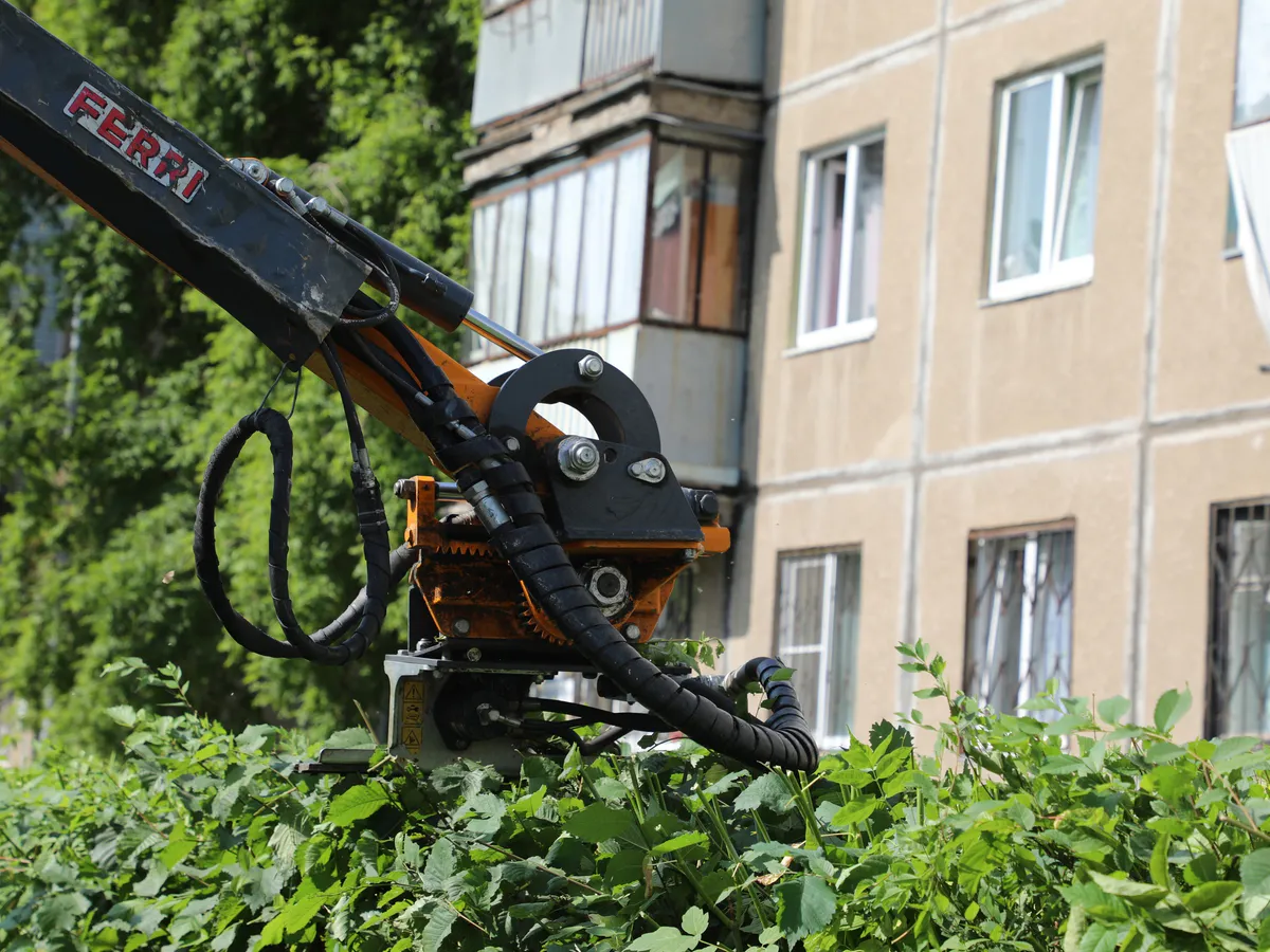 Кто должен косить в Магнитогорске: как город справляется с бурным ростом зелени после дождей