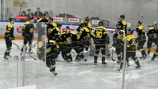 В Скопине хотят установить хоккейную площадку